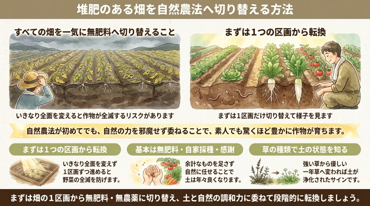 堆肥のある畑を自然農法へ切り替える方法