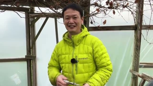 「楽な農業」こそが自然農法の到達点
