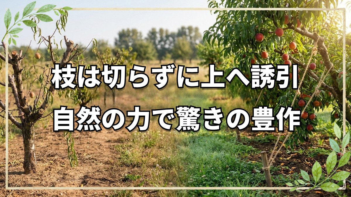 果樹を豊作にする切らない剪定の極意