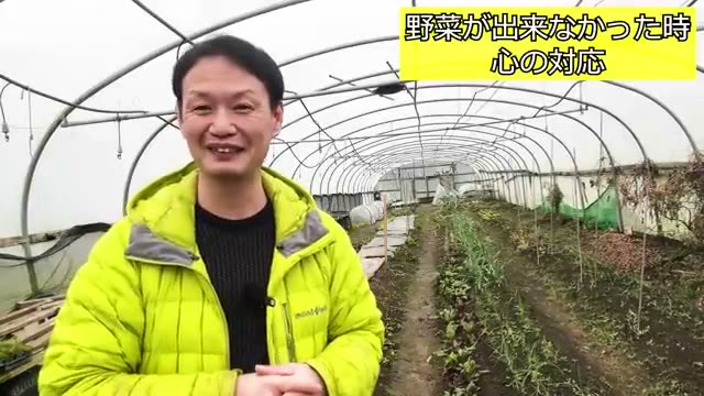 5. 野菜がうまく育たなかったとき、どう向き合うか
