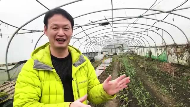 1. 「健康な土」の基準を見つめ直す:見た目よりも「清らかさ」