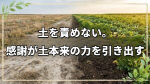 土を豊かにする本当の向き合い方