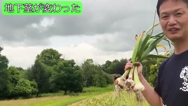土が育つと草が変わる:厄介な「地下茎雑草」を克服した実例