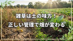 自然栽培の雑草対策!草でわかる土の状態