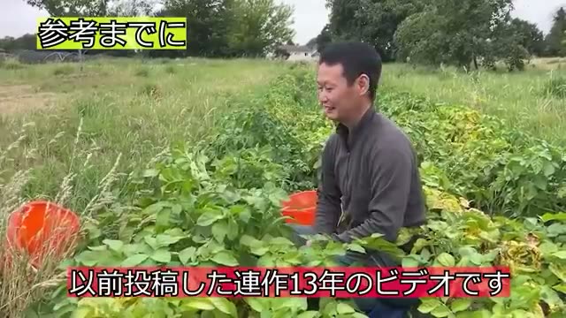 収穫の目安と連作圃場での実証