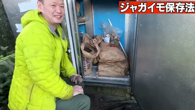 収穫したジャガイモの長期保存法
