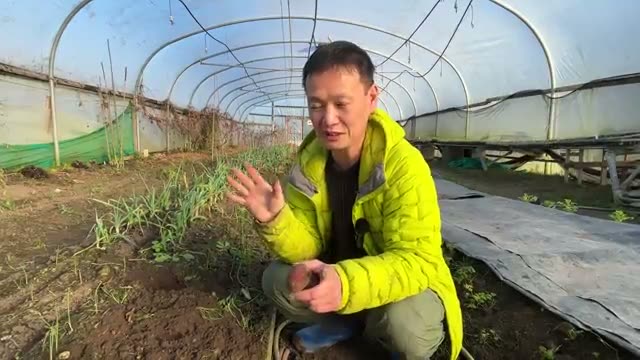 多収穫を実現する2つの最重要ポイント