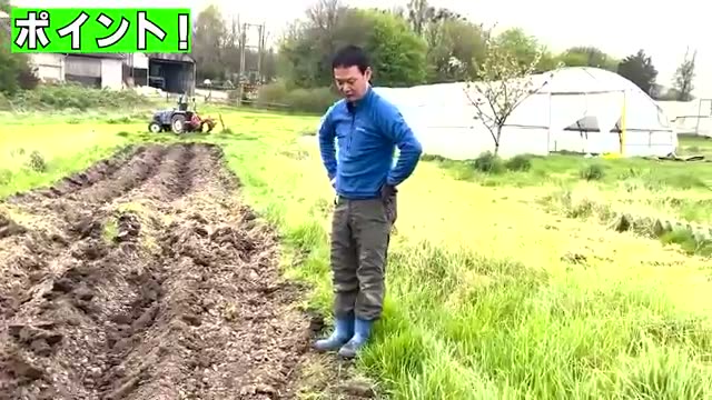肥大を促す土寄せの役割