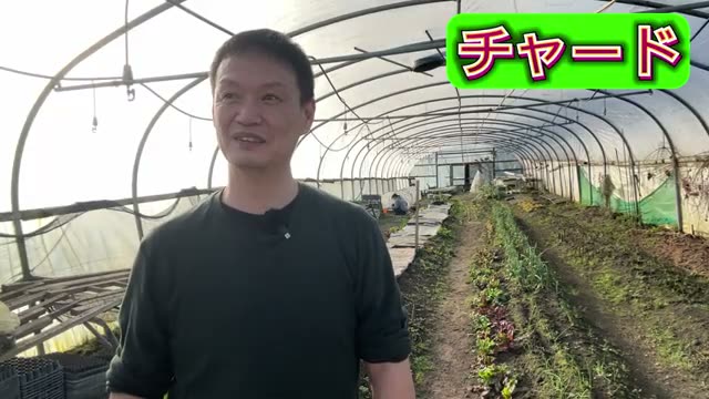 2月から種まき・植え付けができる野菜