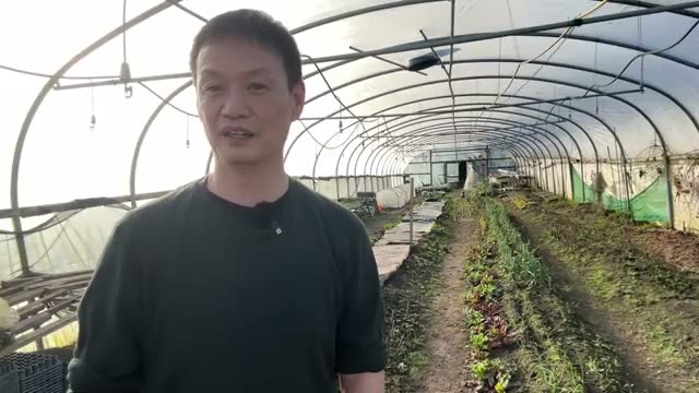ポット育苗がもたらす栽培のメリット