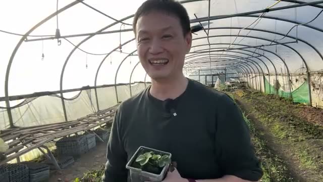 ポリトンネルと簡易ハウスの活用