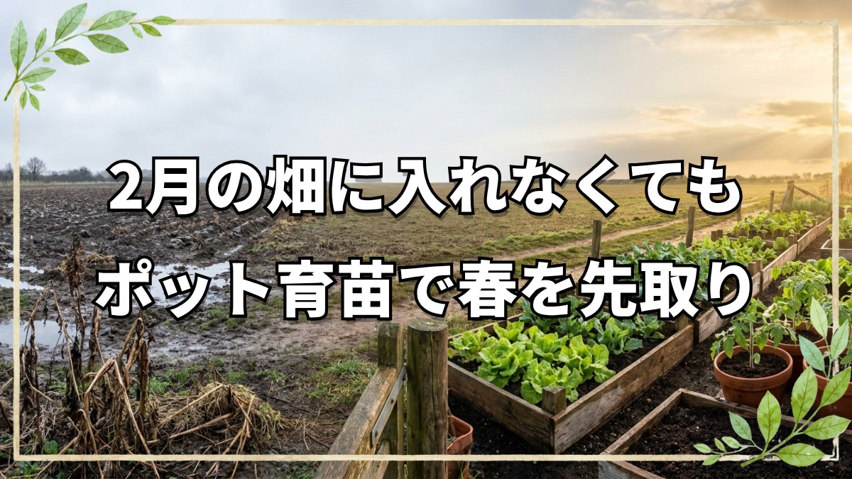 2月の種まき野菜とポット育苗の利点｜自然栽培20年の実践法