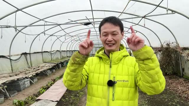 3. 数値では測れない「野菜のエネルギー」