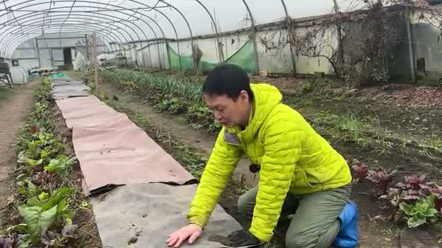 冬の間の乾燥と直射日光を防ぐ土壌管理