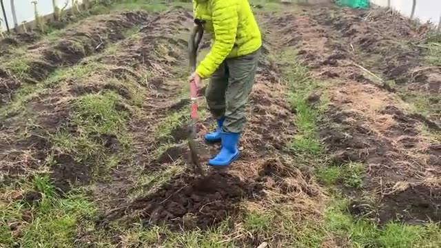 連作地における春の土壌整備手順