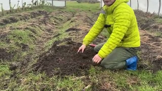 土は休ませずにすぐ植え付ける