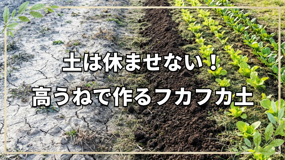 フカフカ土を作る畝立てと春の土壌準備