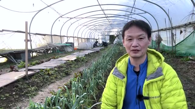 3月に種まきを行う野菜一覧