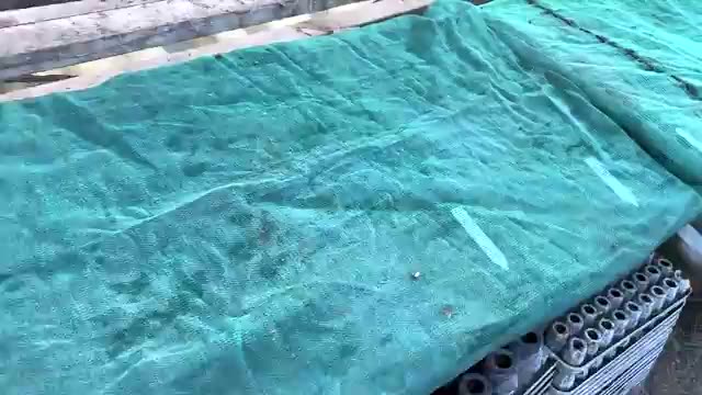 育苗ハウスの工夫と管理のポイント