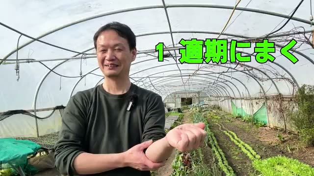 2. 発芽率を左右する「3つの注意点」