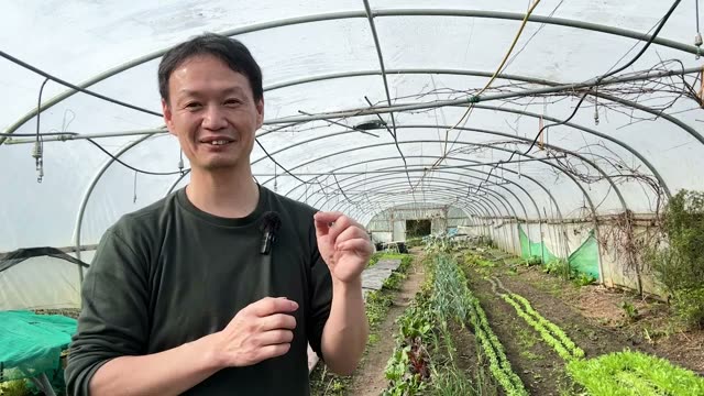 3. なぜ「自家採種」が自然農法の鍵になるのか?