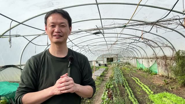 4. 最初の種はどこで手に入れる?