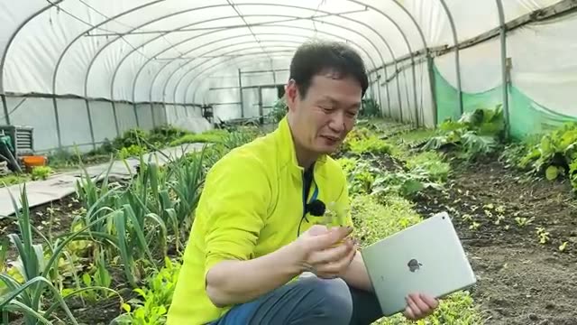 1. すぐに収穫して楽しむ「葉物・小型野菜」