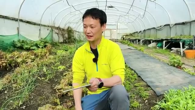 3. 種まきで失敗しないための「超重要」ポイント