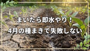 4月の自然栽培!種まきと育て方のコツ