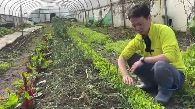 2. 畝の「サイド(斜面)」を活用する2大メリット