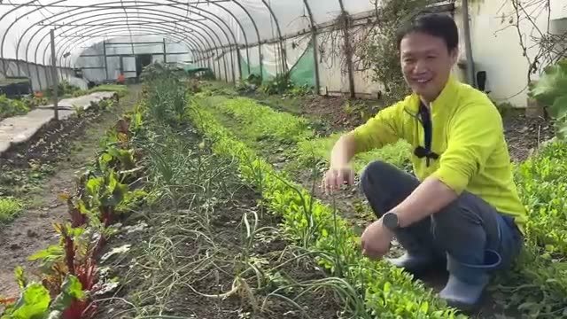 3. サイドに植える野菜の選び方とおすすめ品種