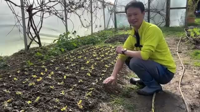 4. 畝の土の量が足りないときの対処法