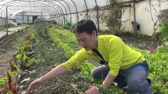 1. そもそもなぜ「畝」を立てるのか?