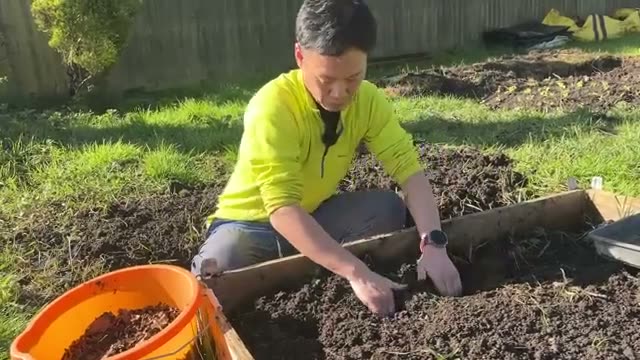 堆肥は全体に混ぜず「ポイント使い」が鉄則