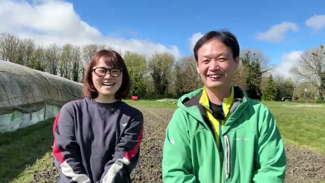 雨の日に「畑に入ってはいけない」根本的な理由