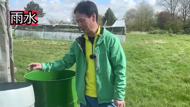 【番外編】自然栽培における「水」の優先順位