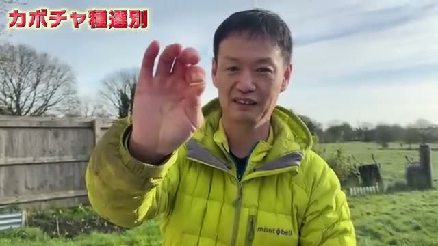 1. 成功は「種の選別」から 発芽率を左右する触感チェック
