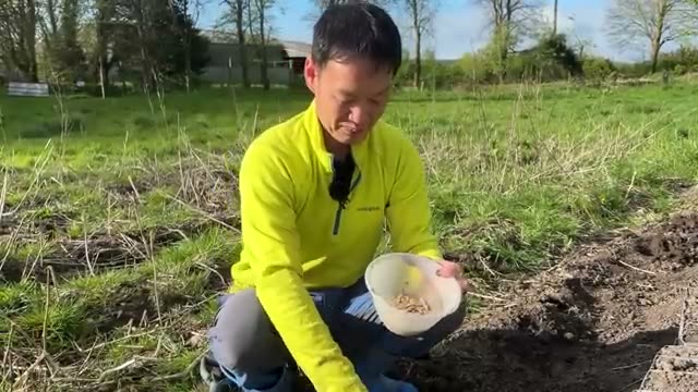 4. カボチャの定植と植え付けのコツ