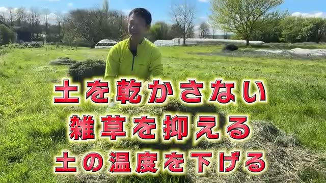 草マルチがもたらす3つの大きなメリット