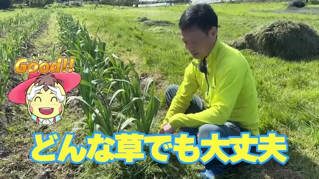 現場で気をつけたい5つの注意点