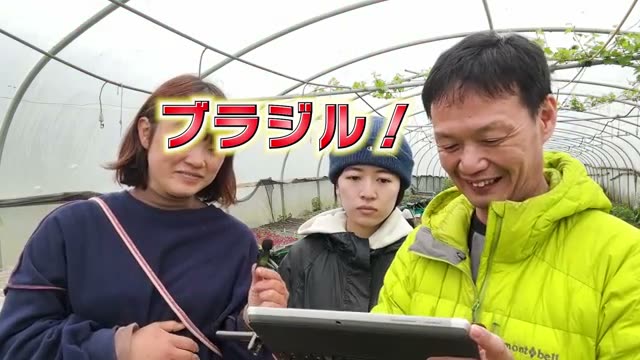 1. 私たちが口にする野菜の「種」はどこから来ているのか