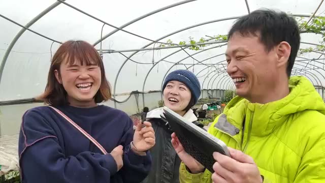 2. スーパーの野菜の流通背景。広がる「接ぎ木苗」の割合