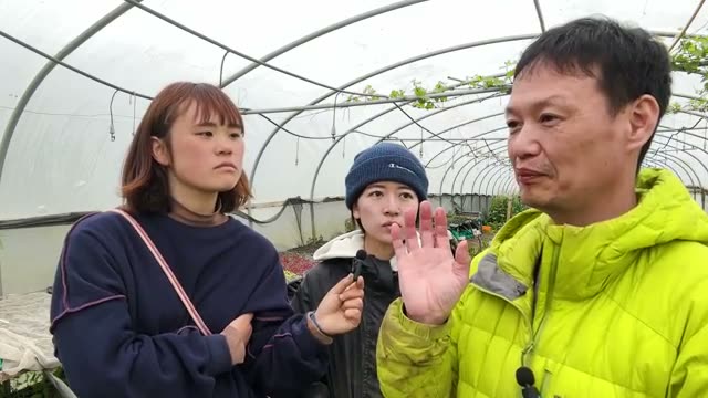 3. なぜ接ぎ木をするのか。技術の背景と自然農法における視点