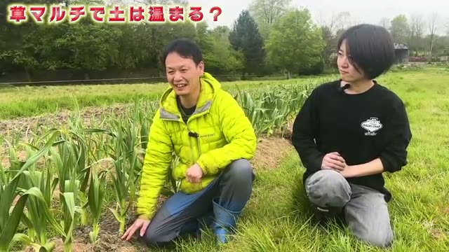 4. 【実践の落とし穴】草マルチは土を温める?冷やす?