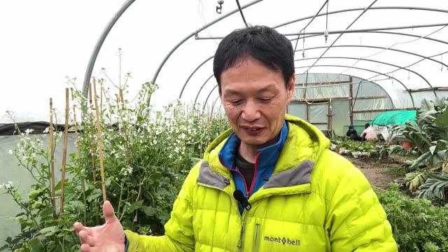 1. 雑草の移り変わりと適した野菜(土の4つのステージ)