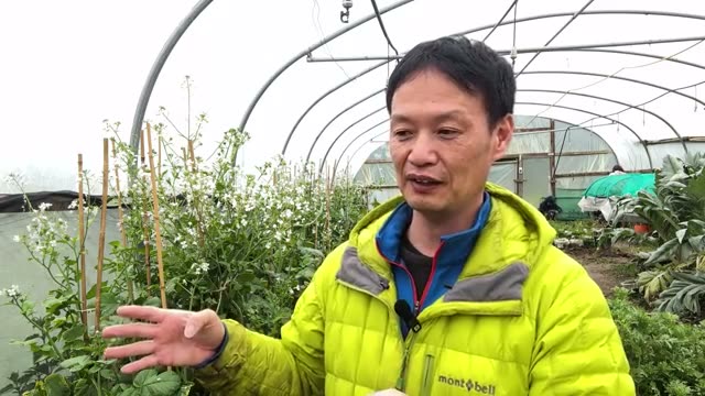 2. 自然農法を続けると「草取りがいらない畑」へ変わる