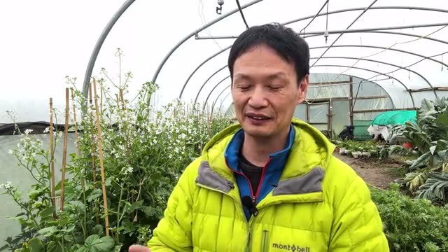 3. 根本にあるのは「土の清らかさ(肥毒が抜けているか)」