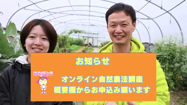 1. 光の要求量で分かれる「3つの植物タイプ」