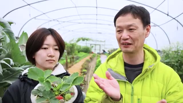 4. 日当たりとセットで観察したい「水分環境」