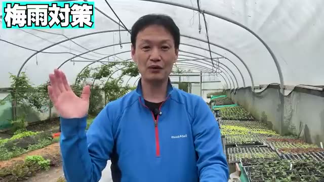 1. 梅雨の長雨と多湿から作物を守る基本設計